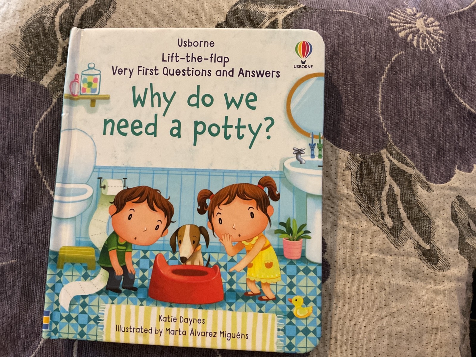 Usborne Lift-the-flap Why Do We Need A Potty? by Katie Daynes (Ve | Katie Daynes