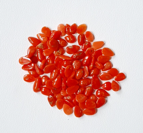 At Auction: BELLE BRANCHE DE CORAIL rouge de méditerranée montée sur un