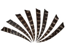 FITARCO - Federazione Italiana Tiro Con L'Arco (@FitarcoItalia) / Posts - Foto 4