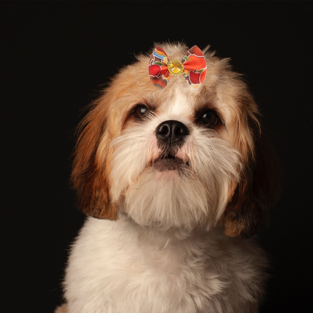 20 Pcs Cani Accessori Fiocchi Per Animali Domestici Del Festival foto 5