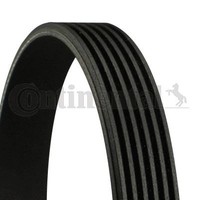 1 X Keilrippenriemen Contitech 6PK1915 FüR Ford Focus