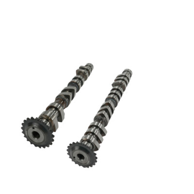 Nockenwelle Auslass+Einlass für VW 1.8T 20V 058109022B 058109021M AEB AGU APX