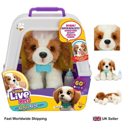 Little Live Pets My Really Real Puppy Patches The Beagle interaktives Plüschtier