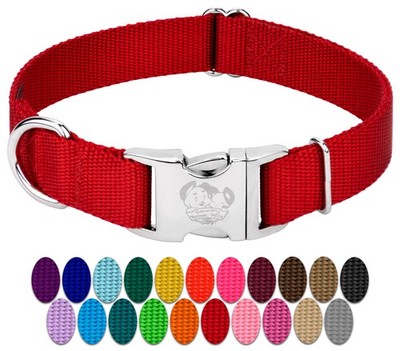 Country Brook Petz  Premium Nylon Dog Collar with Metal Buckle