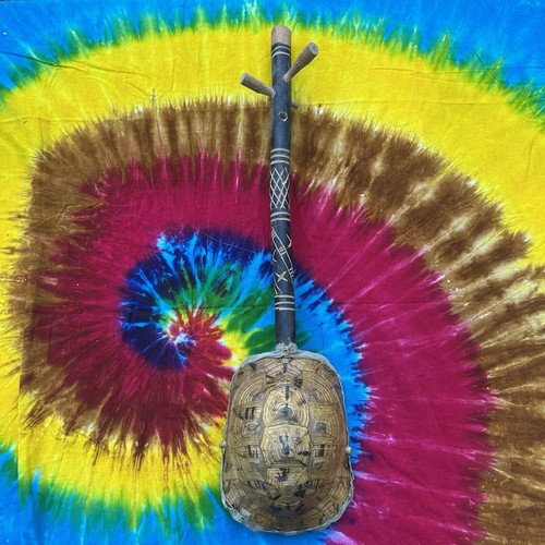Vintage Gunibri Moroccan Tortoise Turtle Lute String Instrument | eBay