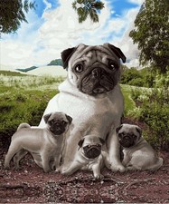 Plush Queen Size Dog Blanket - Extremely Soft - Pug Family