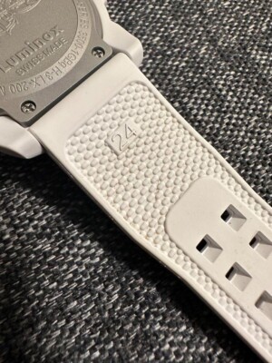 【ぱとらっしゅ】Luminox 3507 White out NAVY SEAL 3500 SERIES Ref.3507 Whiteout | Luminox