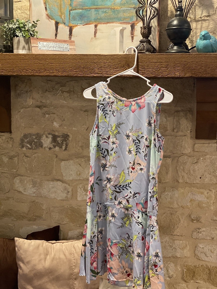 Nicole Miller Blue Floral Sleeveless Swing Drop Waist Dress Sz 6 Summer  Spring | eBay