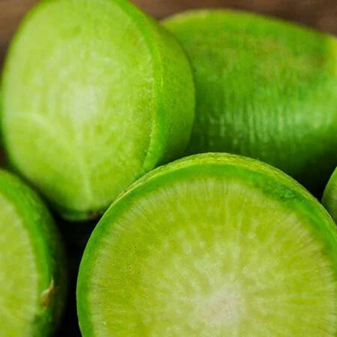 Fresh Premium Wasabi Radish Seeds Heirloom NonGMO Asian Vegetable