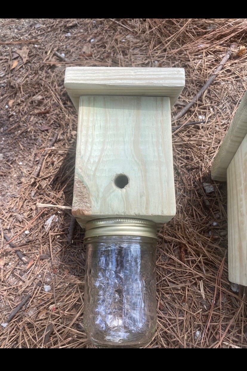 Outdoor Carpenter Bee Traps Set of 2 Treated Lumber New eBay