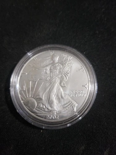 2002 American Silver Eagle 1oz Bullion Coin COMBINED SHIP From ORIG ROLL  af