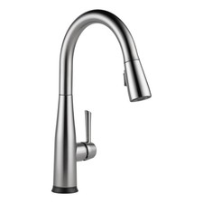 Delta 9113T-DST Essa Pull-Down Kitchen Faucet - Arctic Stainless