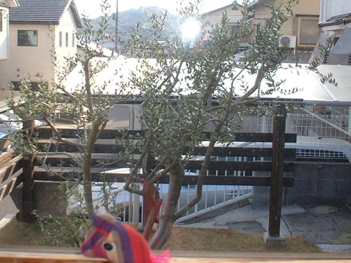 富士フイルム オールドデジタルカメラ BIGJOB DS-270HD 操作確認済み - 画像12/13