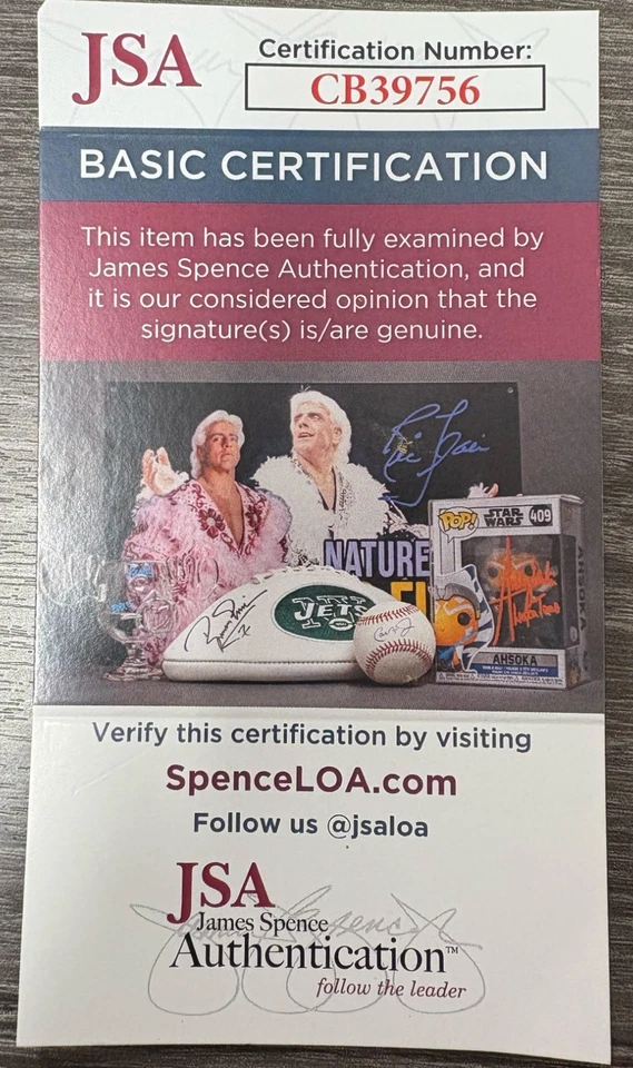 Larry Walker Signed Baseball Glove JSA - Image 4 of 4