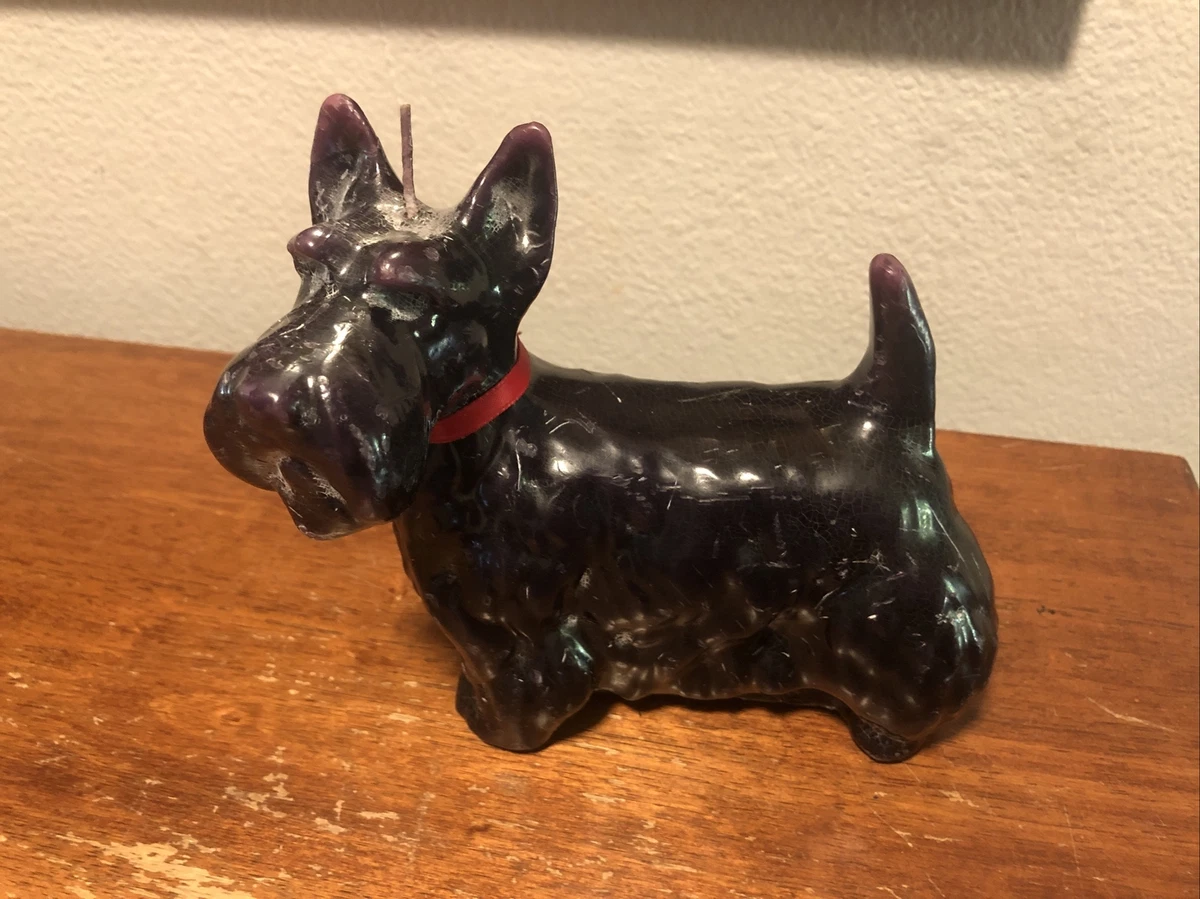 Scottie top dog items