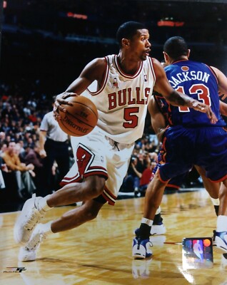 jalen rose chicago bulls
