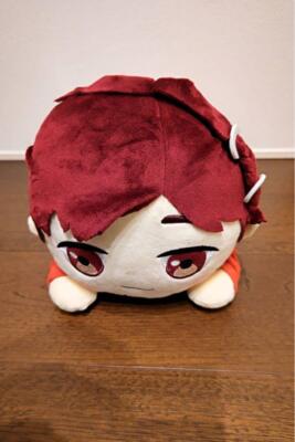 BTS tinytan Lying down plush toy Mega Jumbo From Japan
