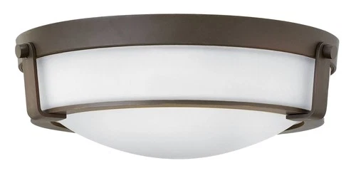 Hinkley Hathaway 16"W Olde Bronze Ceiling Light - Picture 3 of 6