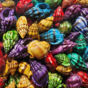 3/4 Inch (18–20mm) Dyed Shells Craft Supply Assorted Colors 250g Bag