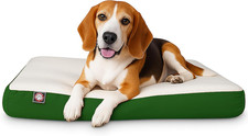 Medium Green Orthopedic Memory Foam Dog Bed for Joint Pain Relief 34x24x3