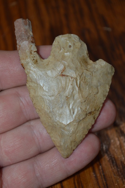 Unusual Burlington Chert Archaic Basal Notch Pike Co, Illinois 3 x 2 Neat Form