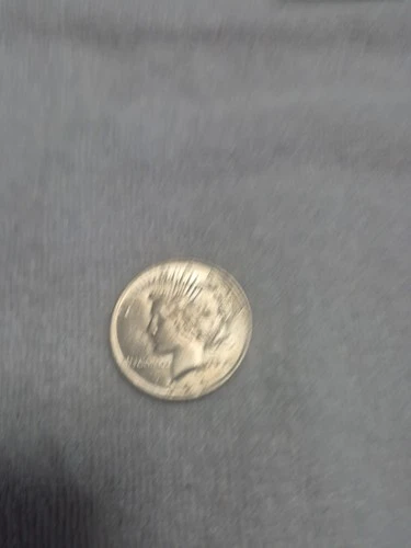 1924 Peace Silver Dollar   |  Gem Brilliant Uncirculated  |  Beautiful Coin