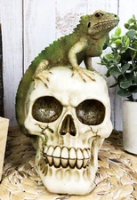 Jointed Human Skull With Iguana Lizard Figurine Halloween Spooky Macabre Decor