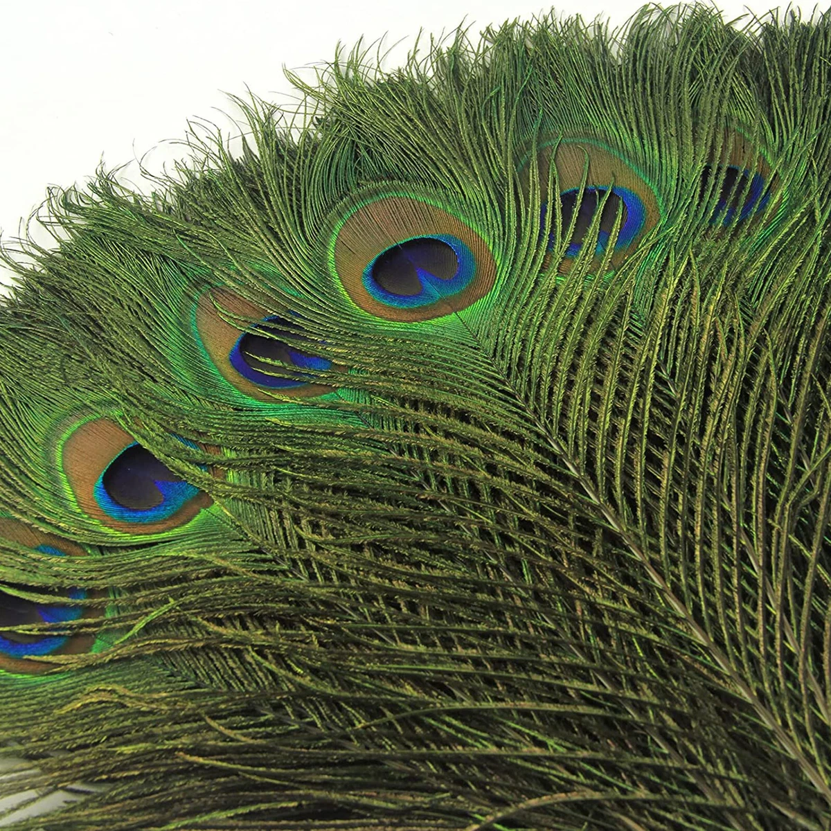 10/50/100Pcs Natural Peacock Tail Eyes Feathers Wedding Home Room Decor  25-30cm