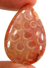 26.70 Ct Natural Fossil Coral Loose Gemstone Cabochon Wire Wrap Stone - 29585