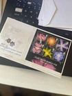Gb First Day Cover 2004 Royal Horticultural Society MINISHEET  RHS BUREAU PMK