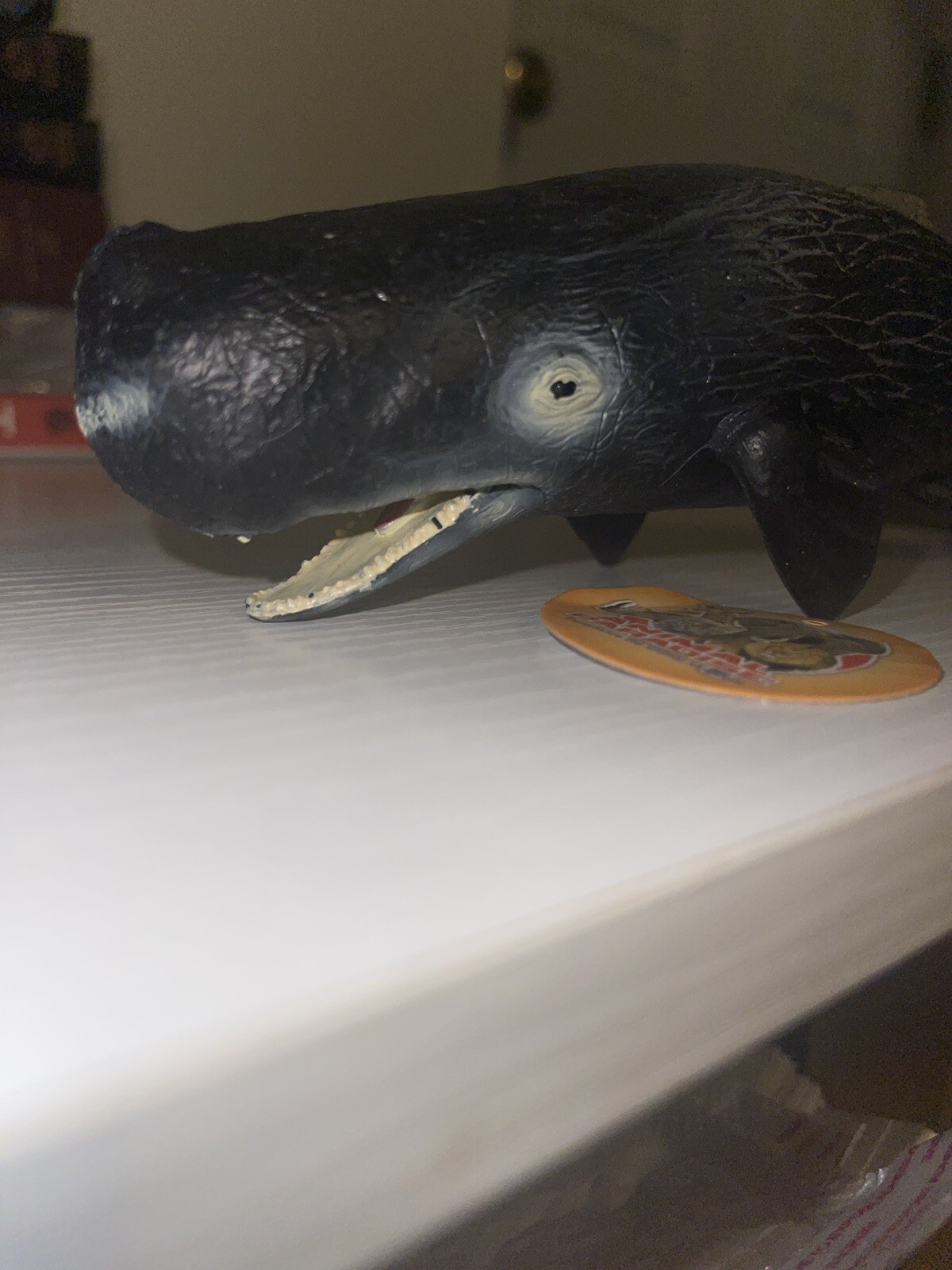 Picture 5 of 9