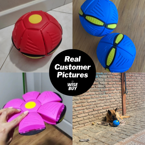 Flying Saucer Ball Interactive Outdoor Sports Training Games Dog Throw