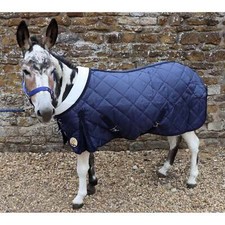 Ruggles Shetland-Miniature-Donkey-Section A 200g Stable Rug With Fleece Collar