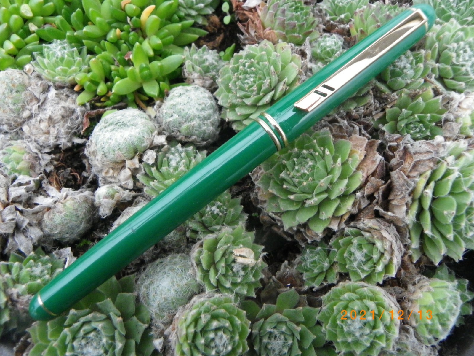 Stylo roller Daniel Hechter vert laqué un cadeau parfait pour homme et femme
