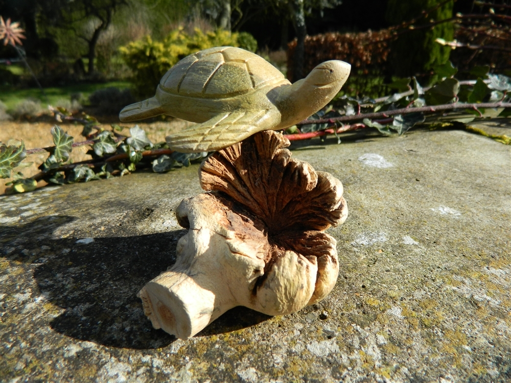 Wooden Turtle Carving - Hand Carved Sea Turtle Terrapin on Parasite Wood