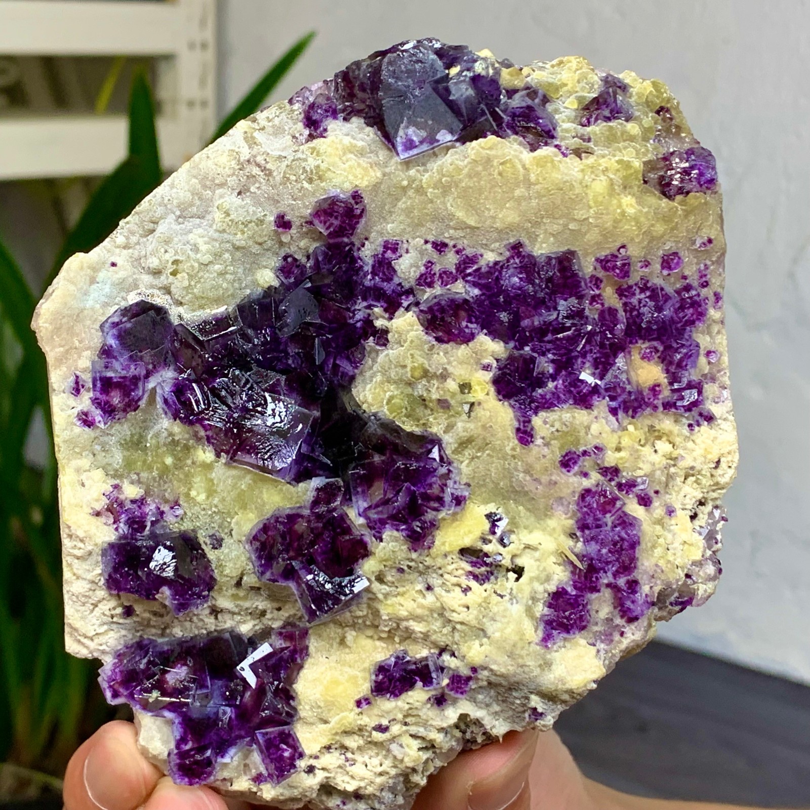 1.55LB Natural Purple Phantom Cube Fluorite Crystal Specimen from Yaogangxian Mine