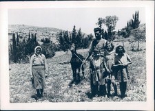 1946 Photo Alex Miliotis Story Greece Corinth Germany Family Mule Children Rob