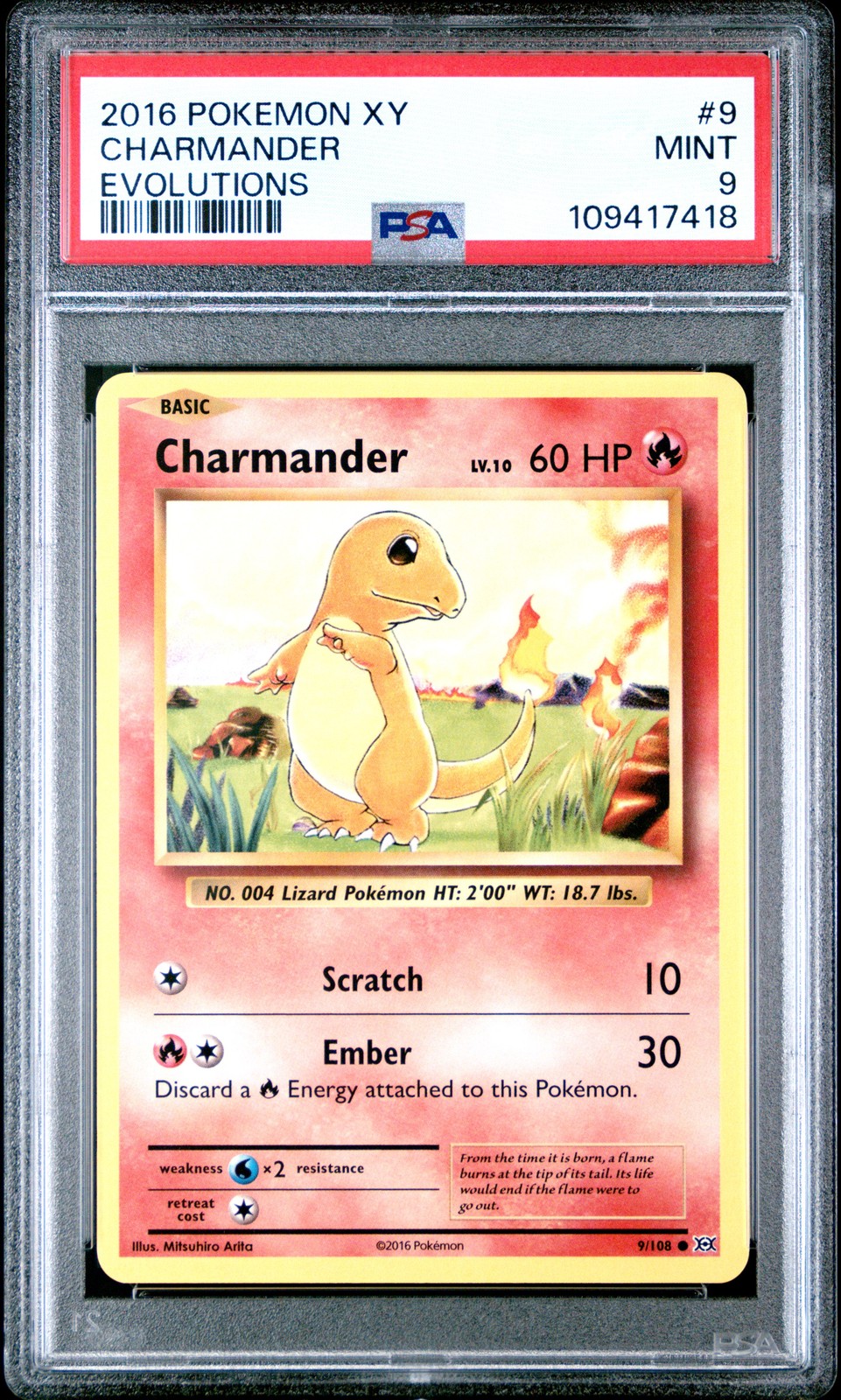 Charmander #9