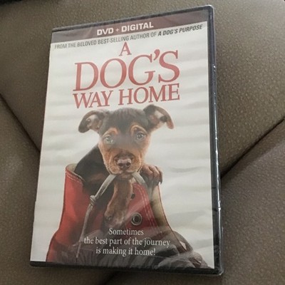 A Dog's Way Home An Unforgettable Journey - For The Whole Family ! New Sealed