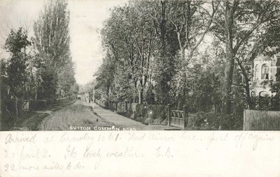 SUTTON COMMON ROAD, c1902 SURREY POSTKARTE, POSTED CRAWLEY 1903 (ref 6844/25/W10