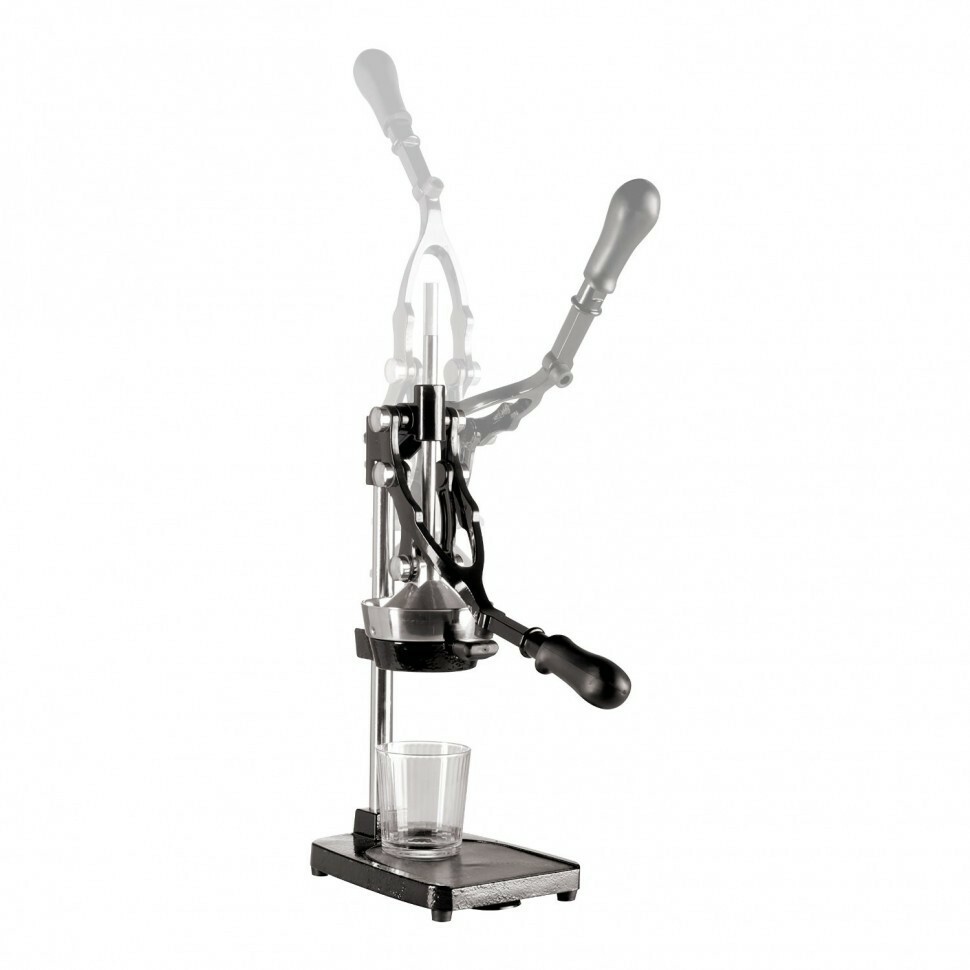 Cilio Premium 203349 Citrus & Pomegranate Press Juicer Professional Genuine New 4017166203349 eBay