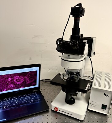 Leica Leitz Wild Laborlux 12 HBO Fluorescence Trinoc Microscope