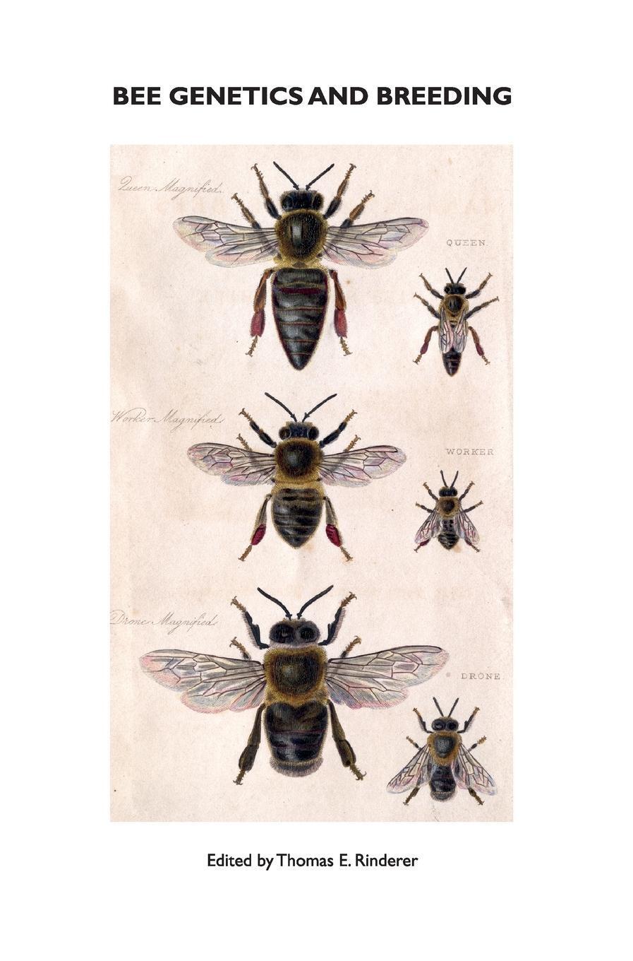 Thumbnail - T E Rinderer | Bee Genetics And Breeding | Buch | Englisch (2010)