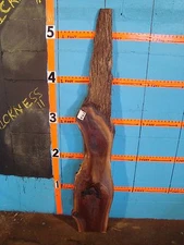 # 8162  Black Walnut Live Edge Slab lumber craft wood L 66" W 12" T 1 3/4"