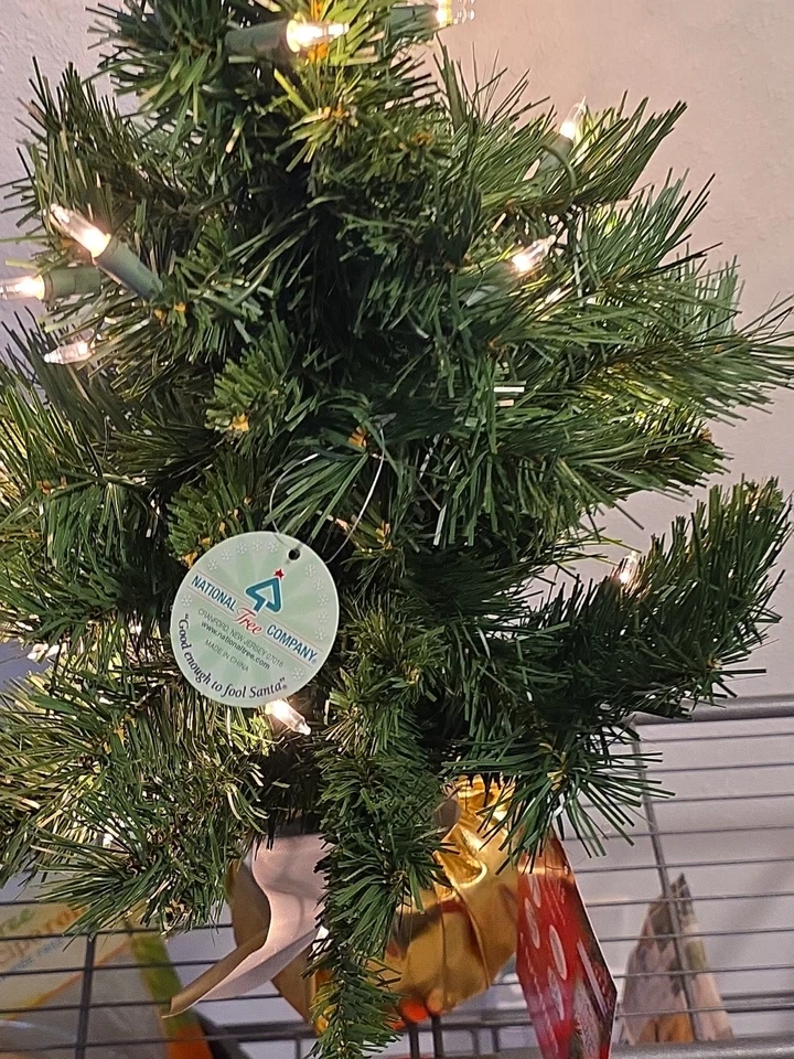 National Tree Company 2 Ft Prelit Fir Christmas Tree w/ Base (Open Box). - Image 2 of 4