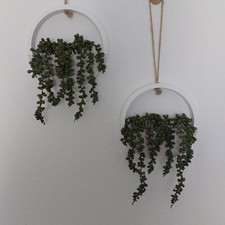 Piante Succulente Finte da Appendere in Legno Fioriera Set di 2 Boho Decorazione Casale