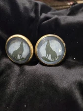 Bridle Rosette's Coyote Blue 2 in Brass And Glass