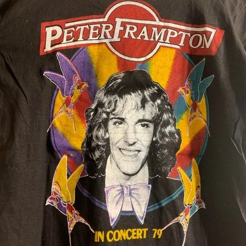 PETER FRAMPTON In Concert double sided single stitch gr 1970s vintage concert t-shirt, vintage, single stitch, B+ condition