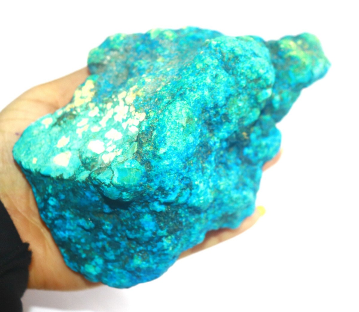 神聖ハート型ターコイズ Sacred Power Stone Turquoise Certified 4820 Ct Natural Arizona Sky Blue Turquoise Huge