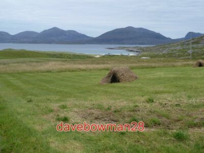 PHOTO  HAY THING IM REALLY NOT SURE WHAT THIS LITTLE CONSTRUCTION IS AND WOULD B